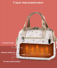 Load image into Gallery viewer, Buy Portable Heated Lunch Bag Insulated Aluminum Design